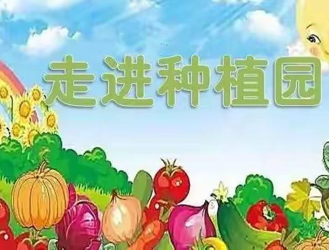 【黄河文化——种植篇】—— 豆豆班             快乐种植       悦享生活