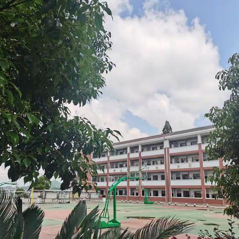 快乐暑假，安全暑假——鸬鹚渡镇中学2023年上学期暑假放假通知及安全提示