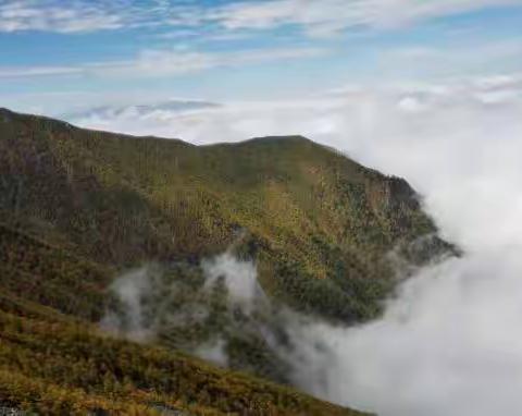 美丽的太白山