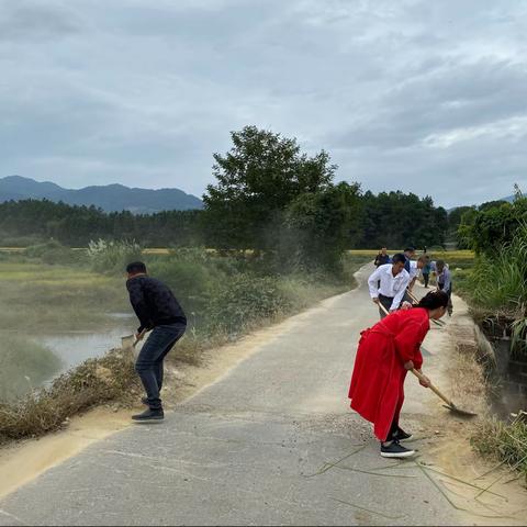 我为群众办实事—程桥村张家组道路清理党员干部在行动