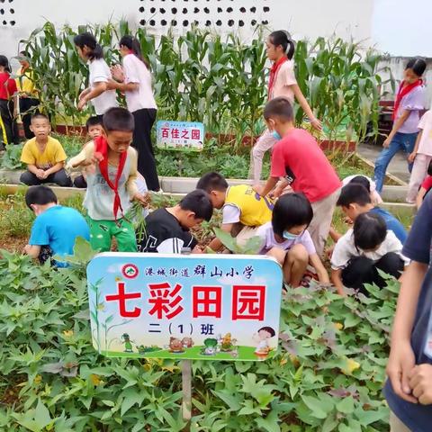 【荷城红烛 育人先锋】“以劳树德，以劳育美”——群山小学致力践行劳动培育美德