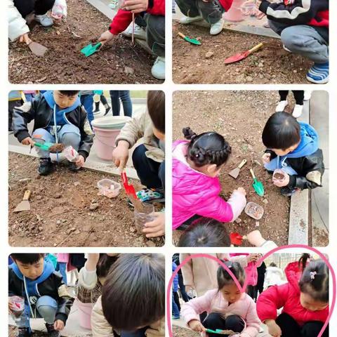 【种子成长的秘密】临沭县第五实验小学幼儿园月亮五班课程系列