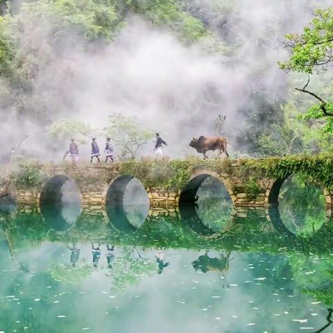 【去远方•清凉避暑度假游】8月1～8月13云舍、梵净山、镇远、千户苗寨、大小七孔、茂兰、马岭河、万峰林、乌蒙大草原