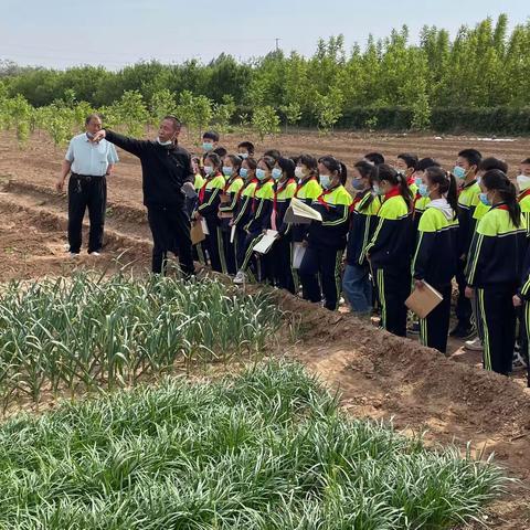 热爱劳动 幸福成长——东良舍完小“五一劳动节”活动掠影