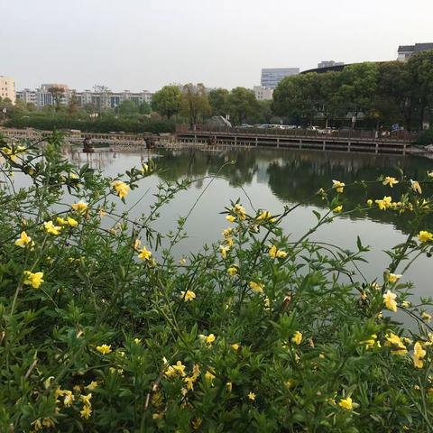 团结  共享  同成长