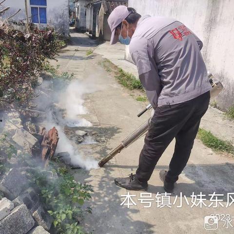 【2023年3月21日】广东碧浪害虫防治有限公司在陵水县本号镇开展病媒生物防治工作