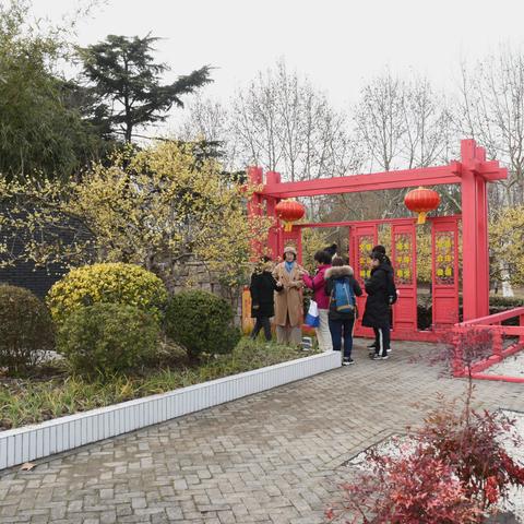 金虎贺岁  双梅迎春