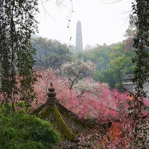 2月18台州游