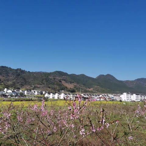 婺源•篁岭两日游