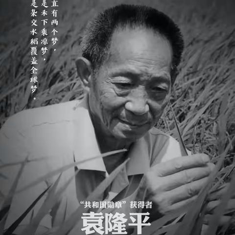 缅怀袁隆平院士，临塘乡小天使幼儿园光盘行动