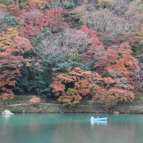 日本之旅—红叶季（第八站 嵯峨岚山、常寂光寺、二尊院）