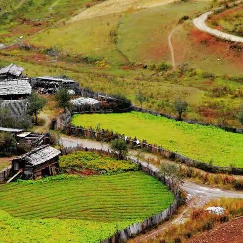 女人的山村                   （小说）