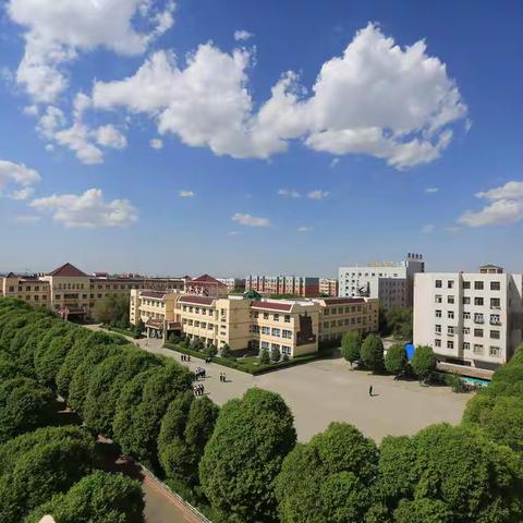 2021年乌市实验学校科体艺特长生招生