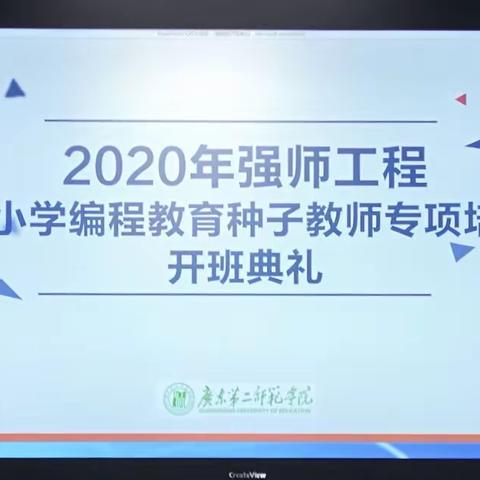 名师引领，益友同行——2020年省级强师工程中小学编程教育种子教师专项培训班第二小组学习感悟