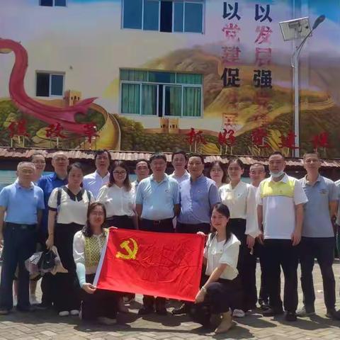 机关联乡村    党建促振兴