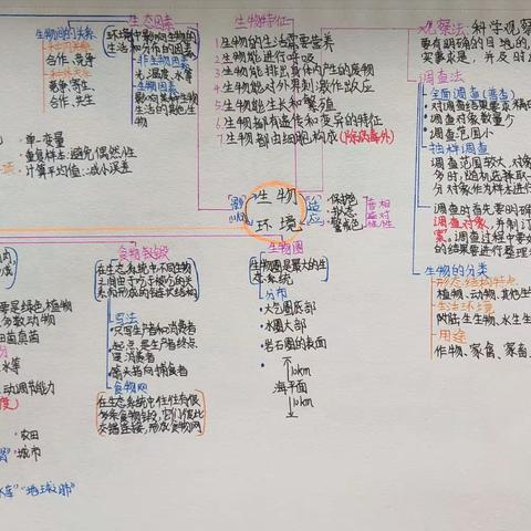 借思维导图之美，提生物学习之趣——初一（20）班寒假优秀思维导图作品展（海桂中学）