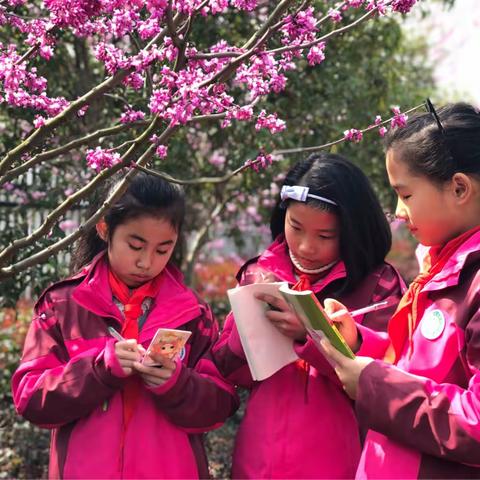 天宁小学：“爱绿护绿，美化校园”——把春天带进教室