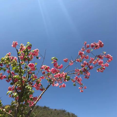 若无闲事挂心头，便是人间好时节