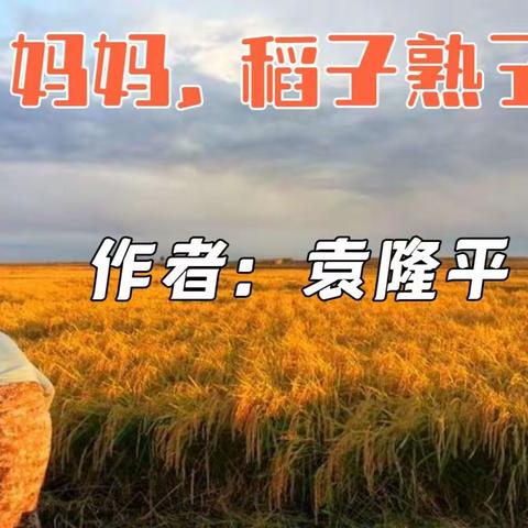 散文《妈妈，稻子熟了》—袁隆平