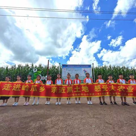 走进岭瓜乡  亲近黑土地  感受大农业——宝泉岭中心小学校一年五班假日小队活动