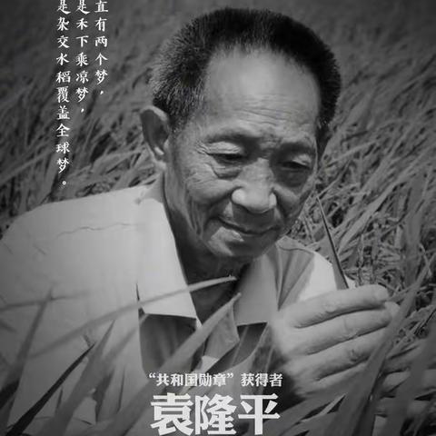 “稻花香里忆起您”——沉痛悼念袁隆平爷爷