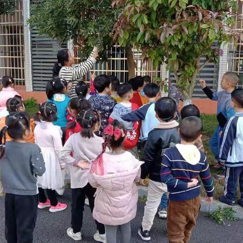 遇见春天、遇见爱                                                         ——向阳幼儿园大四班