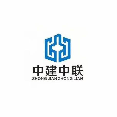 中共中建中联集团有限公司党支部开展“庆七一  举旗帜  守初心  担使命”主题党日活动