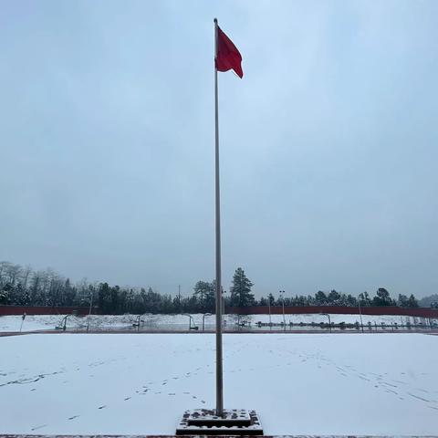 飞雪映校园，师生齐扫雪 ——梅花师生奏响冬日的“除雪狂想曲”