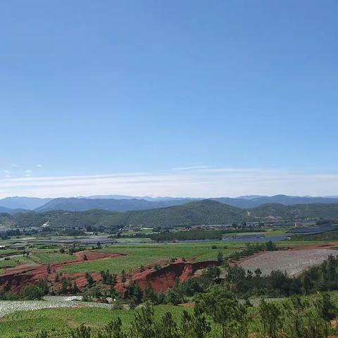 青山