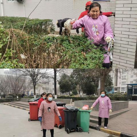 迎国卫复审 渭滨社区在行动