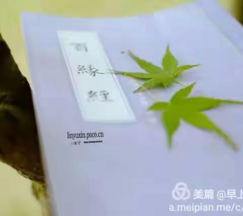 宁可孤独，也不违心；人生路途，与书同行