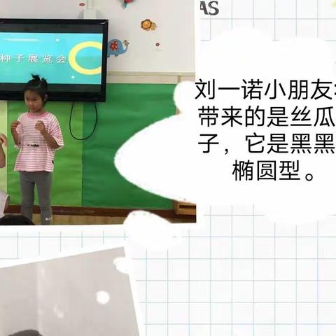 “种子的秘密”——河头学校附属幼儿园中二班主题活动报道