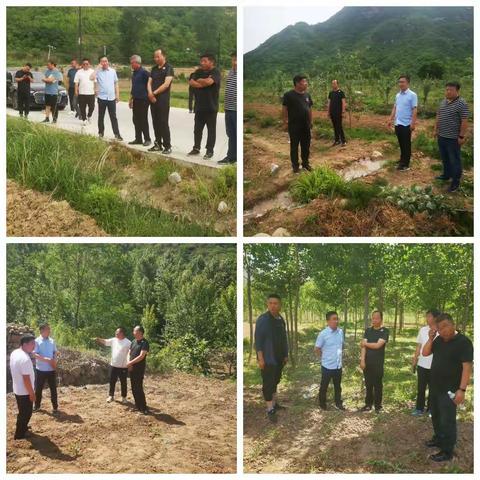 以实干求实效拼实绩——杨家桥乡开展二季度产业振兴拉练活动