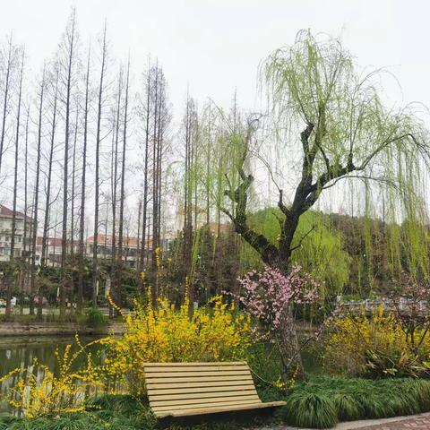 贵州沿河派赴华东师范大学附属中学跟岗研修学员学习日记（第一天）