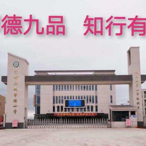 线上学习拓视野•借鉴经验促提升——记九章路小学线上观摩江西省小学数学优秀教学课例现场展示活动