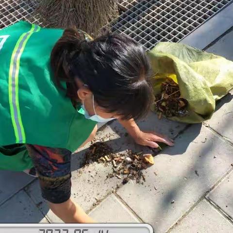 烈日下的守护者