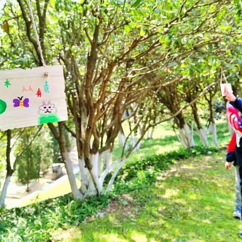 南京市雨花台区实验小学二四中队植树节活动