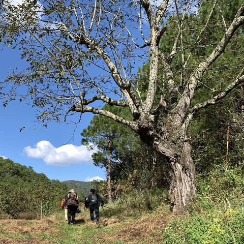 去了一个手机都没有信号的地方拍鸟