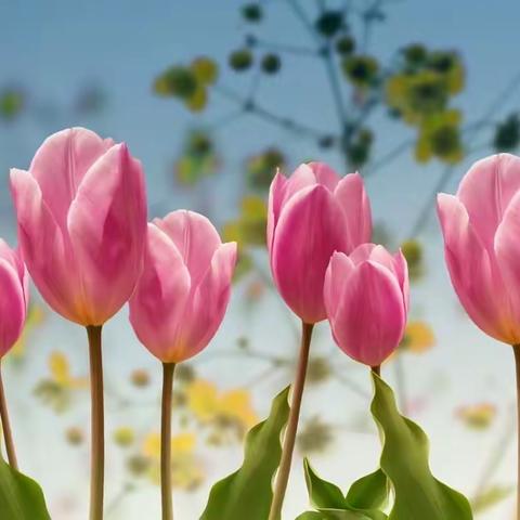 春草绿绿 研途勤勤--航空港区2022—2023学年下学期六年级语文统编教材教法培训会