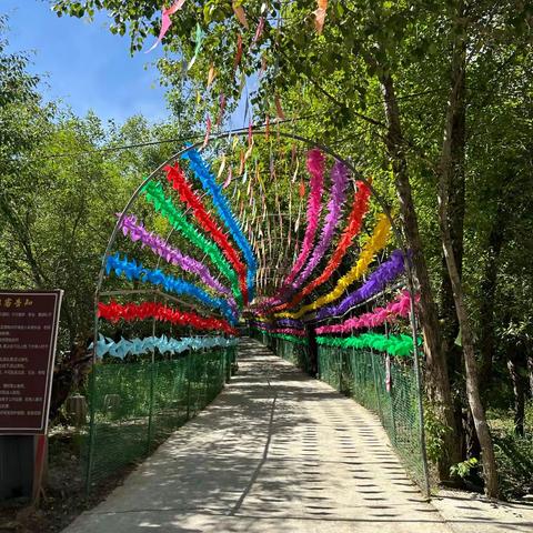 爱贝尔2024暑期户外活动