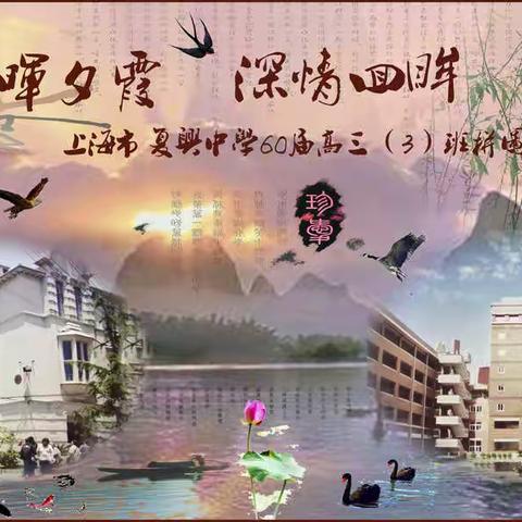 朝晖夕霞 深情回眸