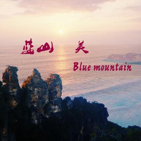 蓝山 美