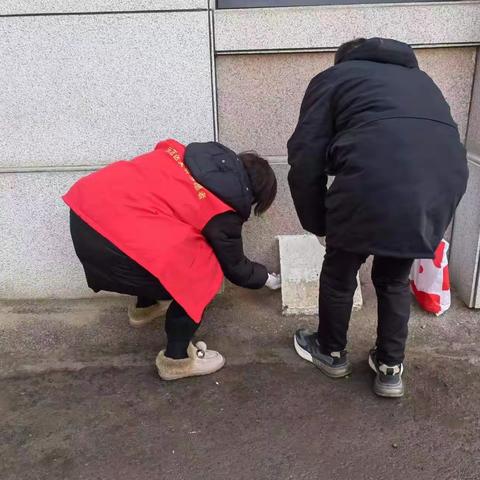 金耀街道武夷社区开展冬季灭鼠活动，减少病媒生物孽生，武夷社区在行动