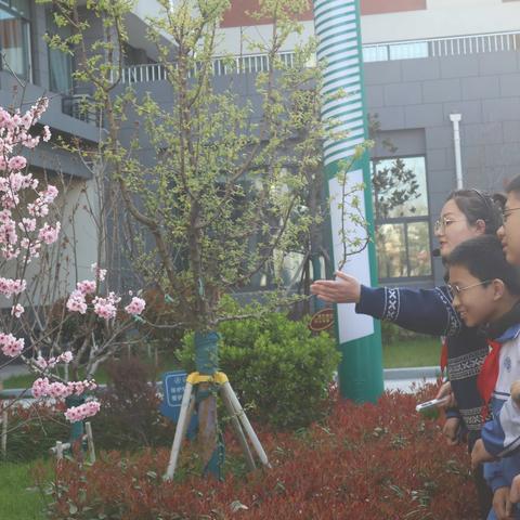 【济宁市实验初中】春生万物 精彩课堂——记济宁市实验初中生物组校区联研暨青年教师汇报课活动