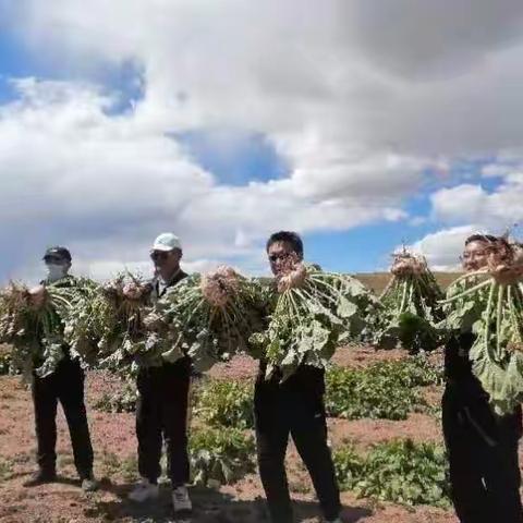 秋风送爽到田园 有所丰收有所喜