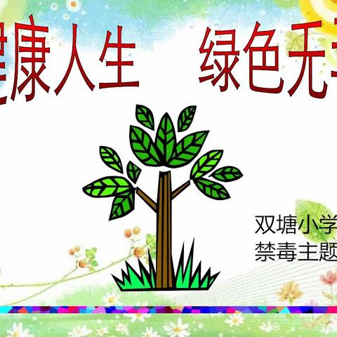 2018双塘小学“健康人生，绿色无毒”主题班会