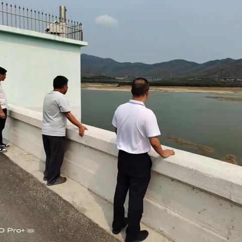 布甫村委会日常工作简报