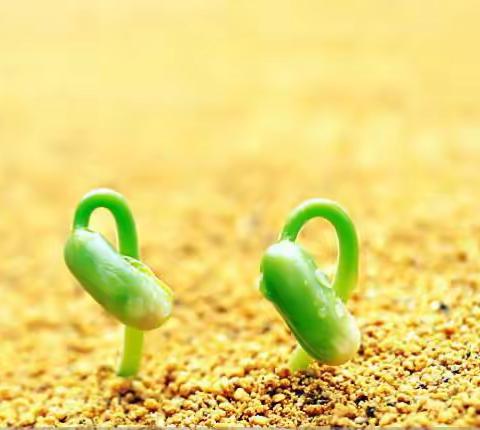 不忘初心 砥砺奋进——2020年中国人民银行六安市中心支行新行员风采展示