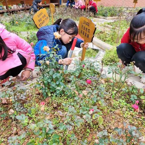 弘扬雷锋精神，争做追“锋”少年——云集联合学校云集中学小学部“学雷锋”系列活动