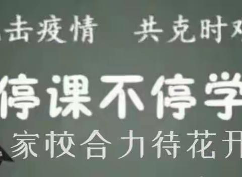 停课不停学之战“疫”篇——藏龙小学二（4）